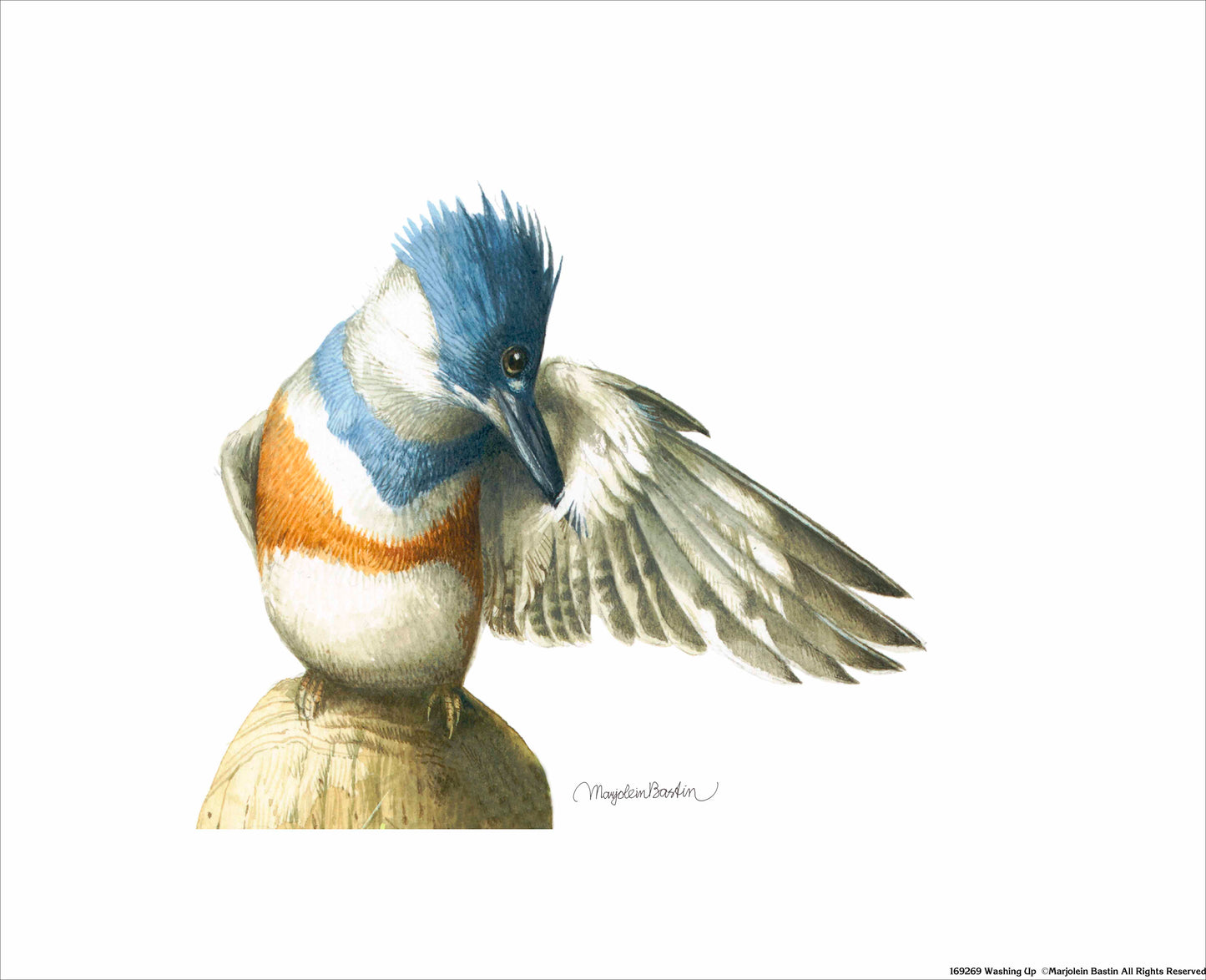 Washing Up - Art Prints