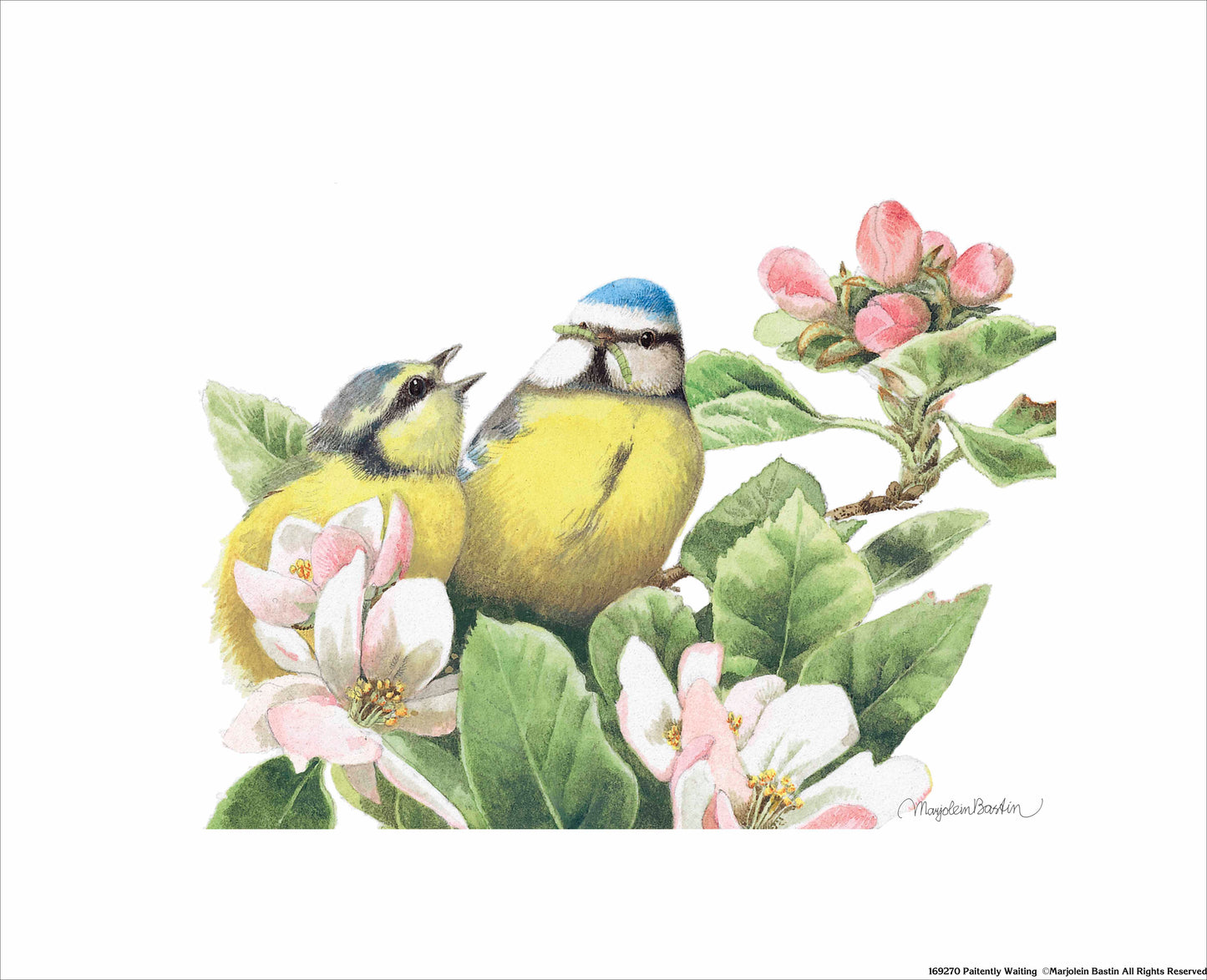 Paitently Waiting - Art Prints