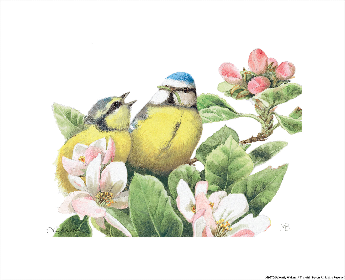 Paitently Waiting - Art Prints