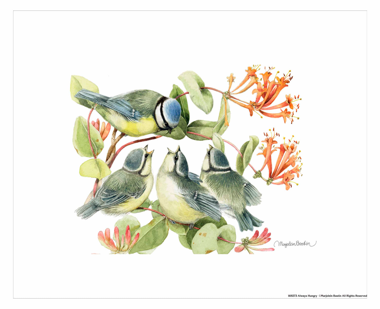 Always Hungry - Art Prints