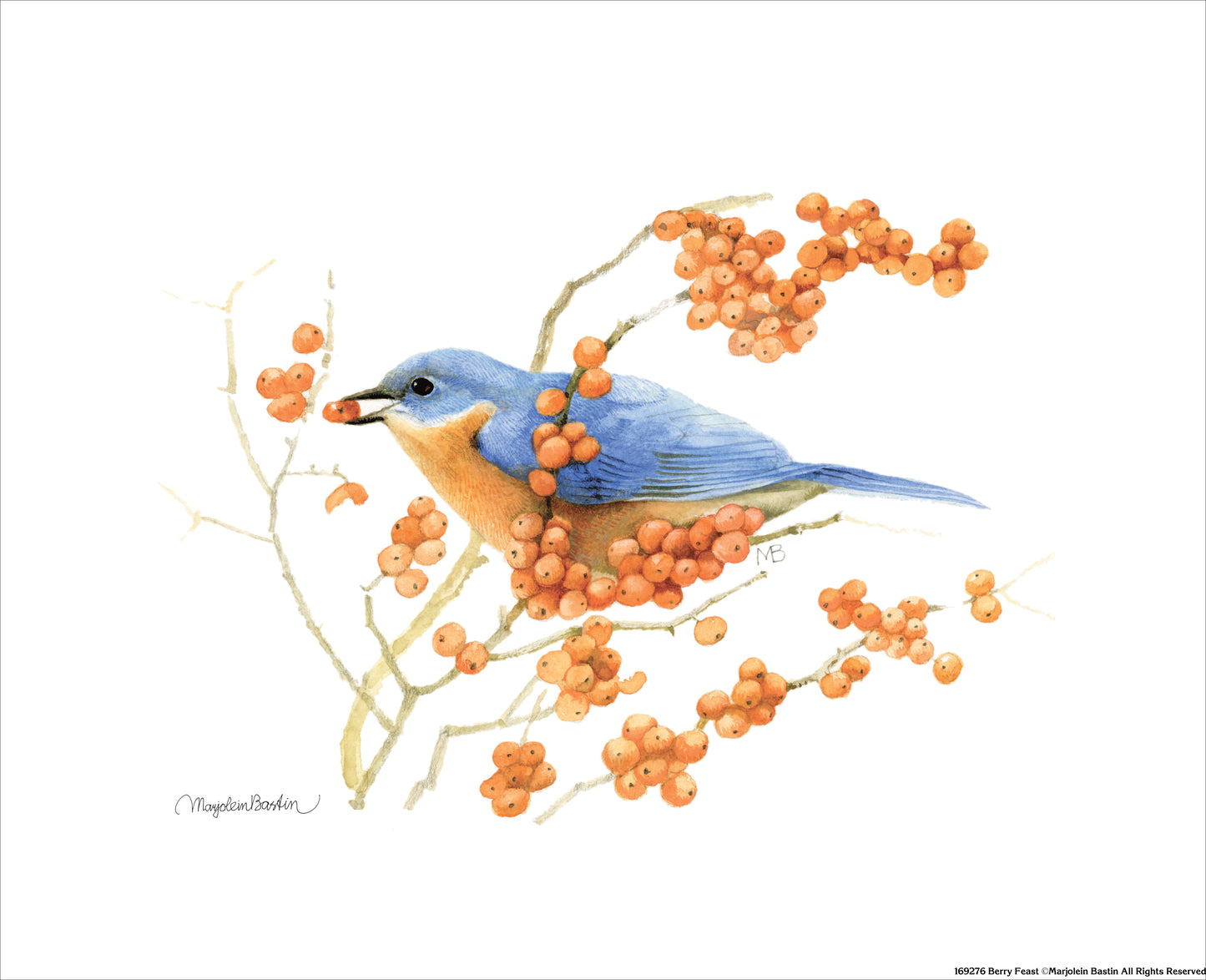 Berry Feast - Art Prints