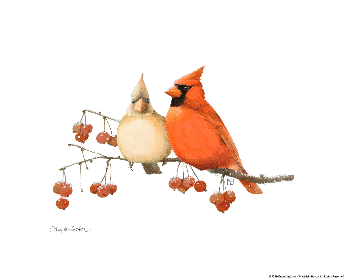 Enduring Love - Art Prints