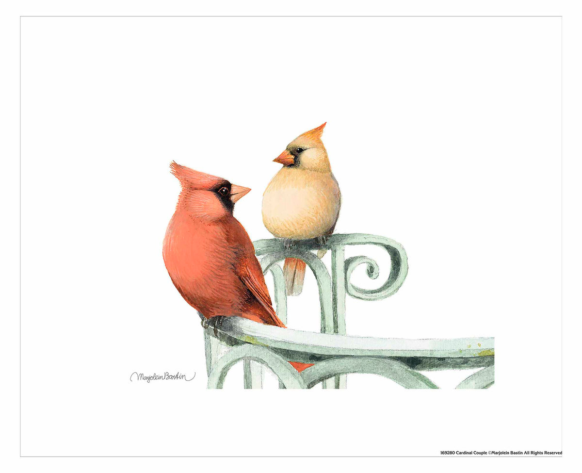 Cardinal Couple - Art Prints