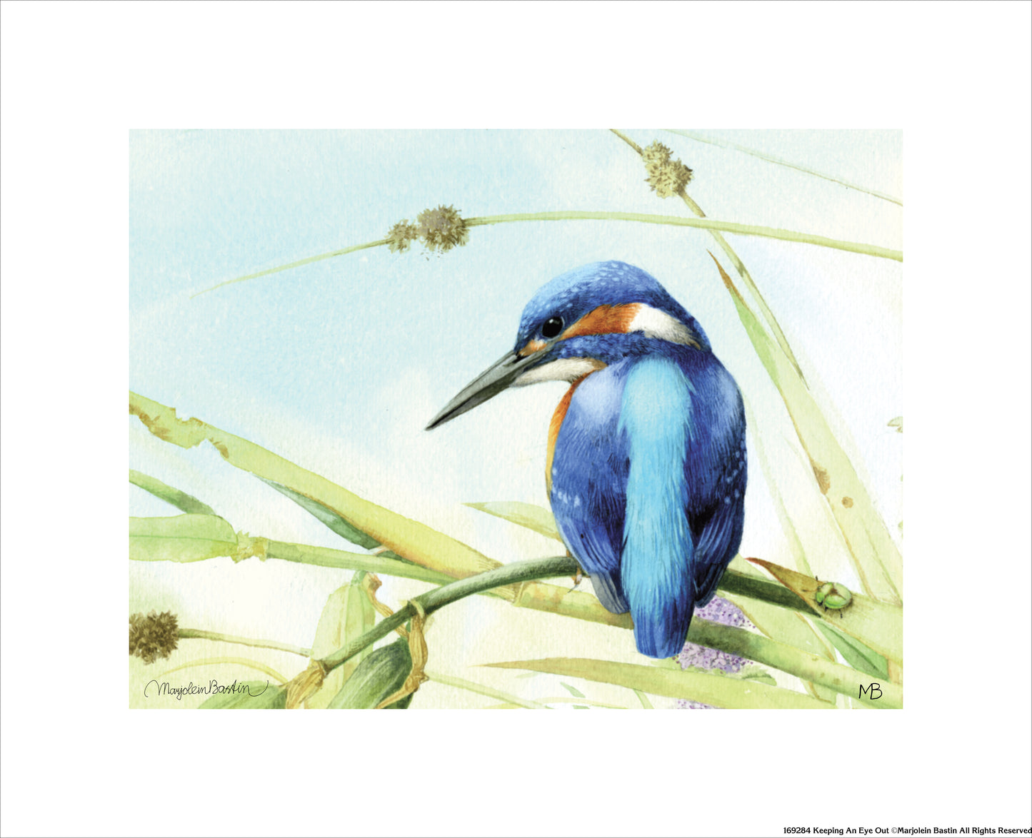 Keeping an Eye Out - Art Prints