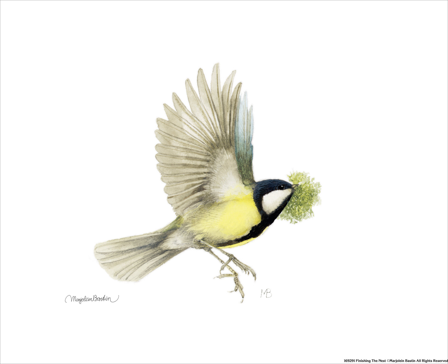 Finishing the Nest - Art Prints