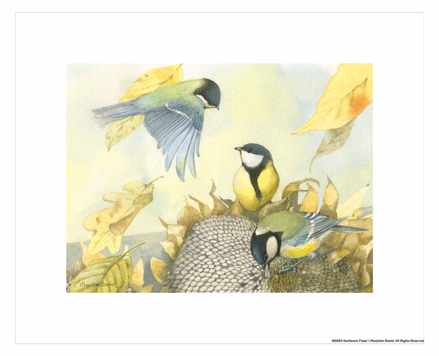 Sunflower Feast - Art Prints