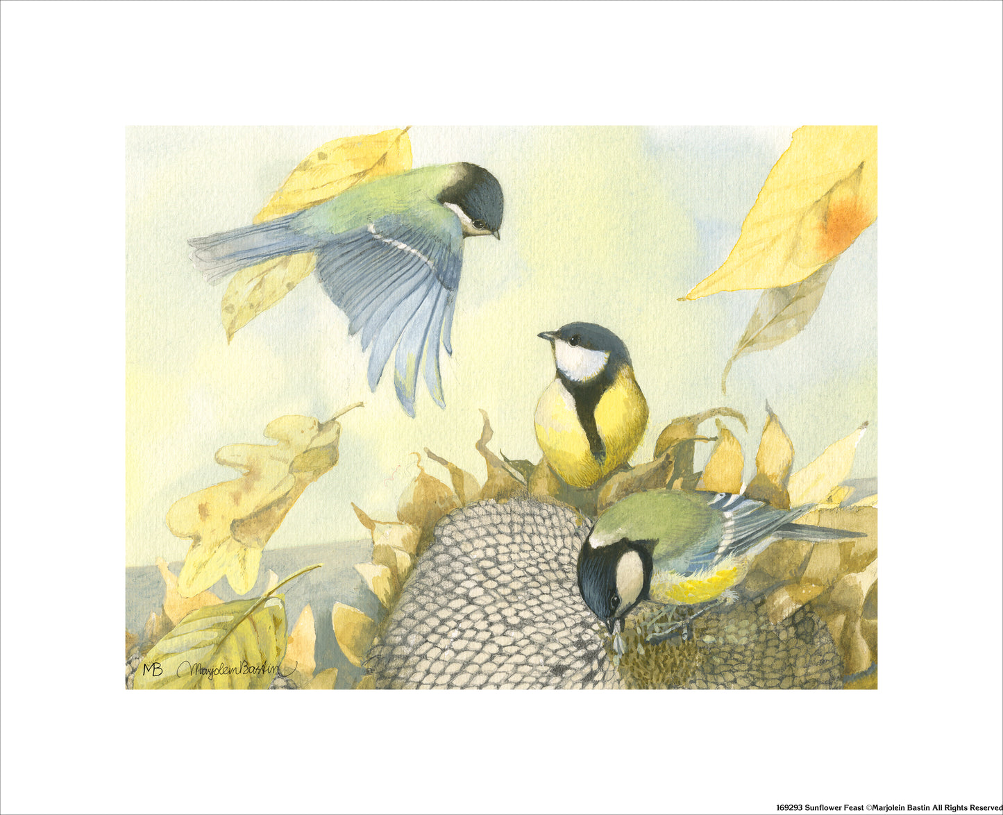 Sunflower Feast - Art Prints