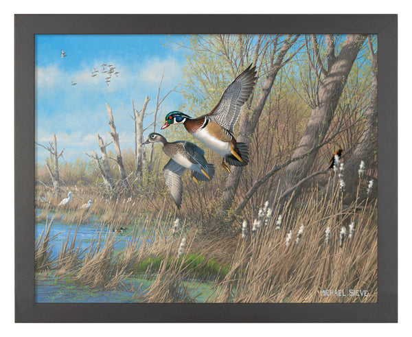 Common Duck イラスト 木製ボード　絵 Common Duck イラスト 木製ボード 絵 Wood Duck Vector Art, Icons