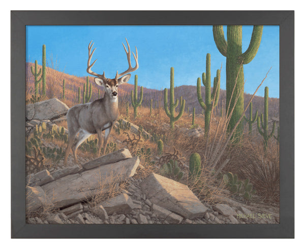 Sonora Sunrise - Mule Deer - Art Prints