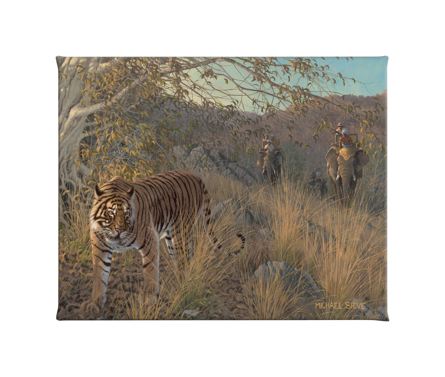 Royal Hunt - Tiger - 16" x 20.5" Gallery Wrapped Canvas