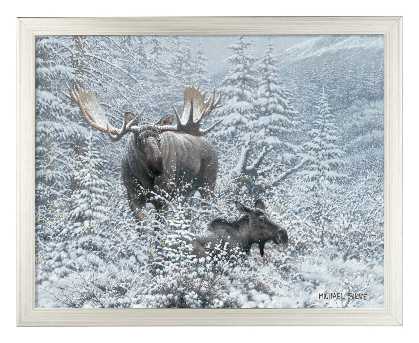 Patient Suitor - Moose - Art Prints
