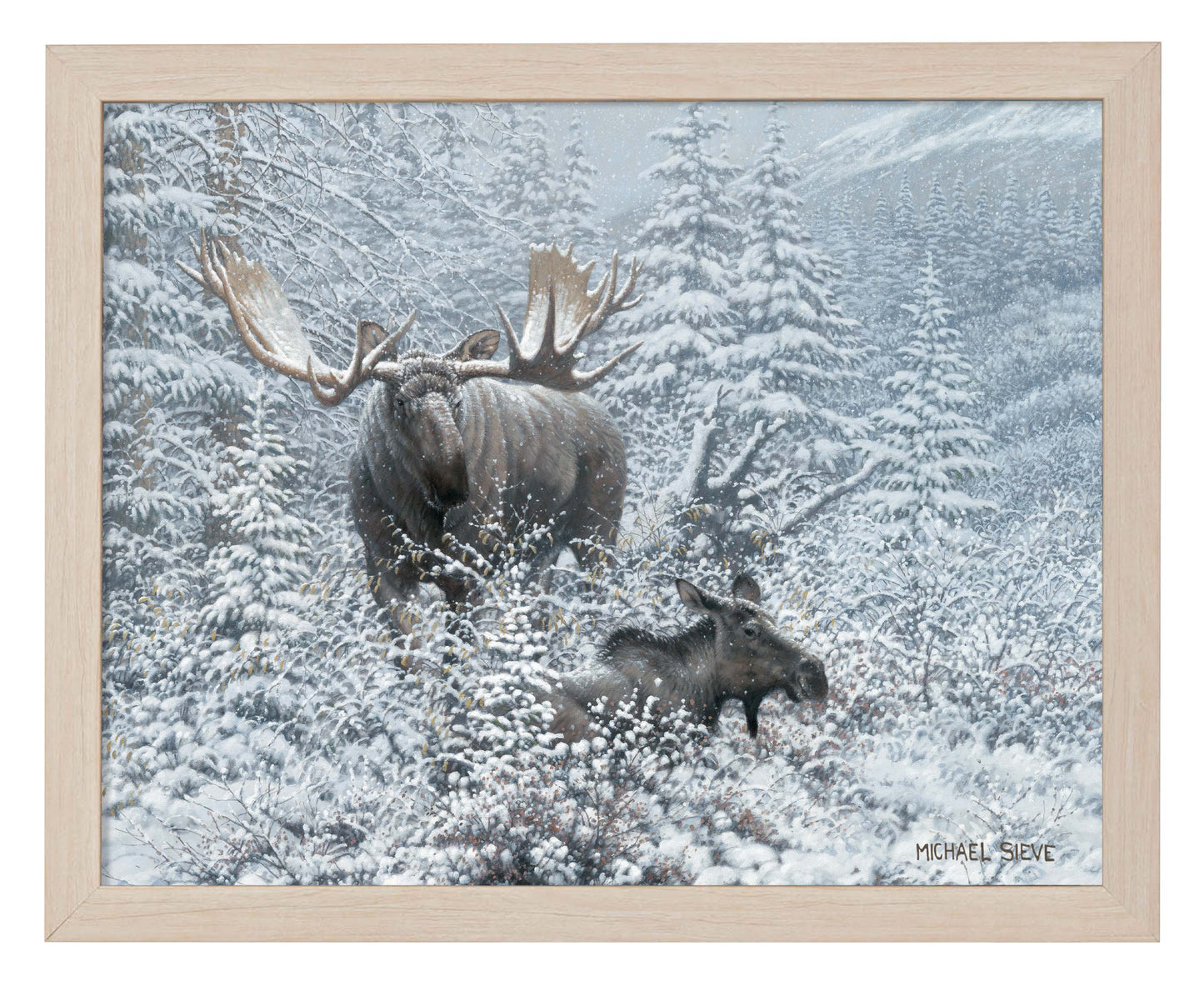 Patient Suitor - Moose - Art Prints