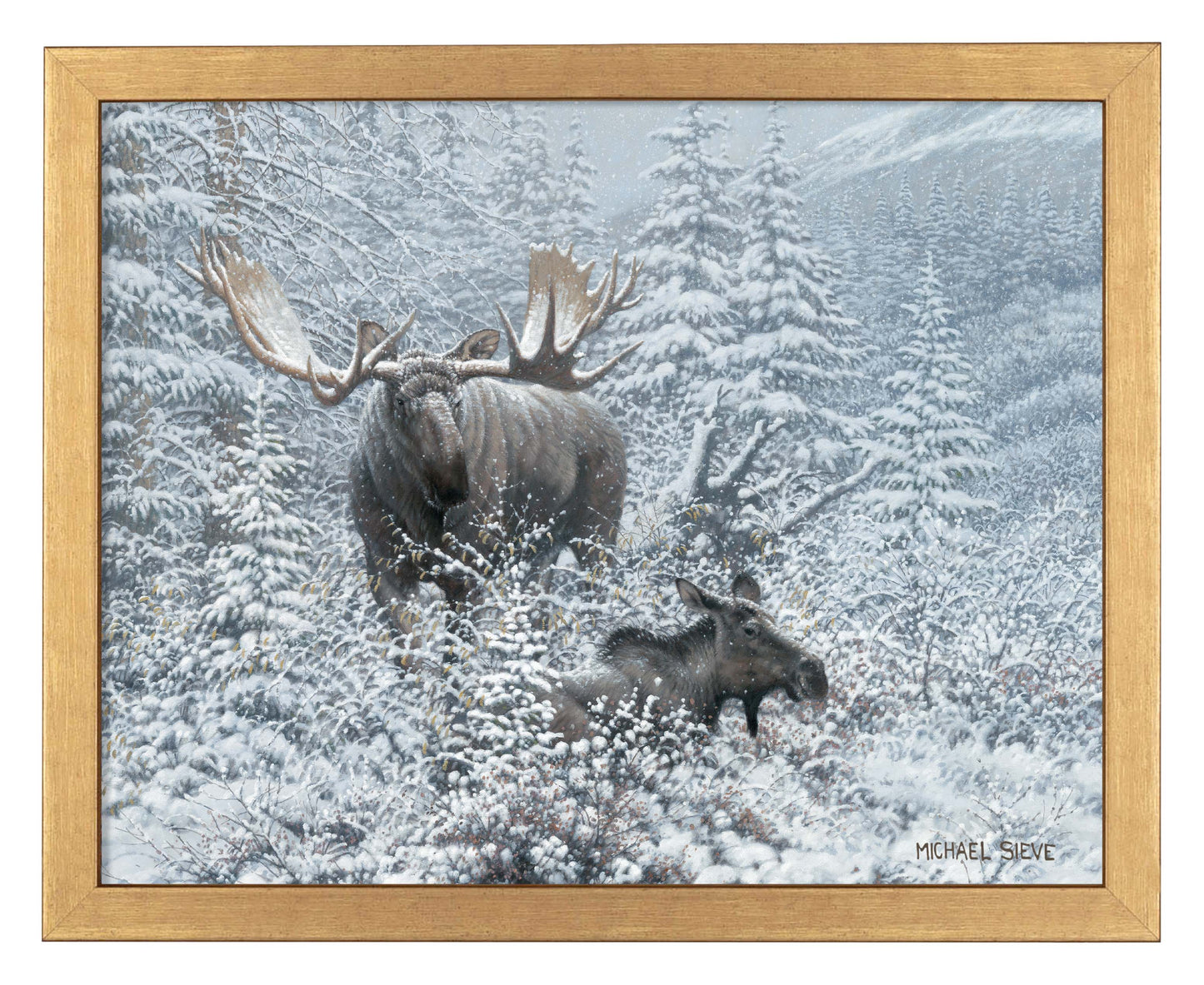 Patient Suitor - Moose - Art Prints