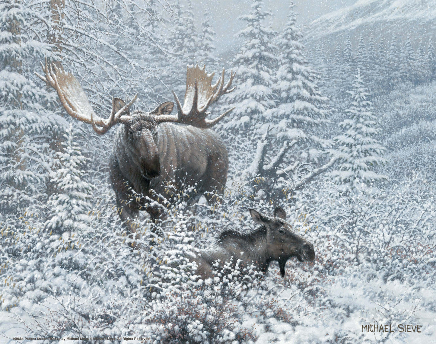 Patient Suitor - Moose - Art Prints