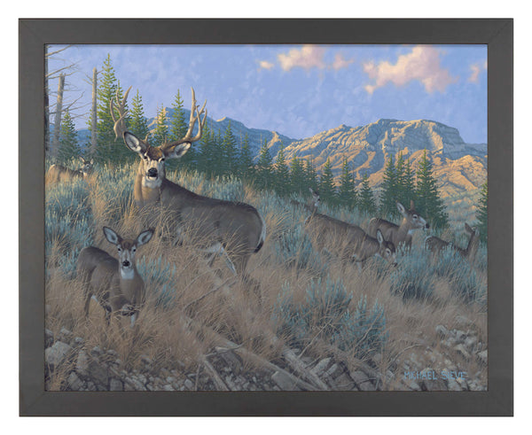 Magic Hour - Mule Deer - Art Prints