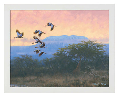 Crowned Cranes - Art Prints