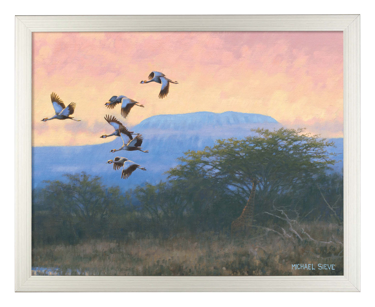 Crowned Cranes - Art Prints