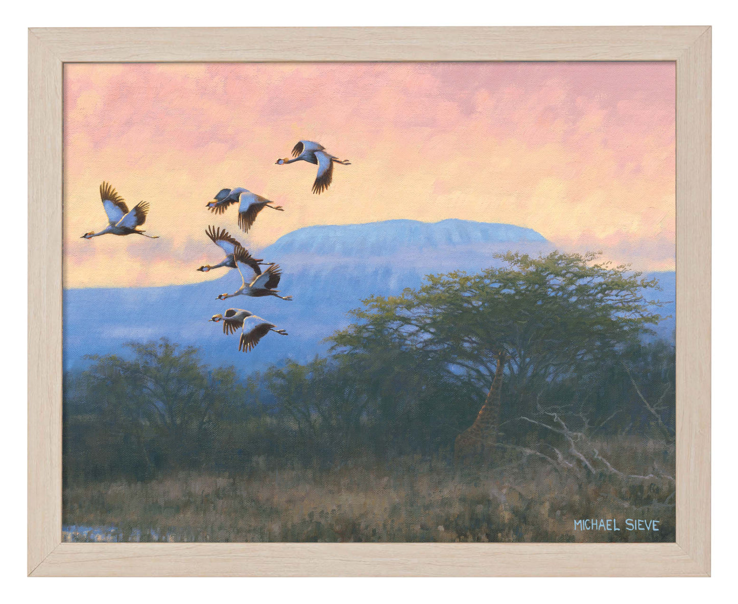 Crowned Cranes - Art Prints