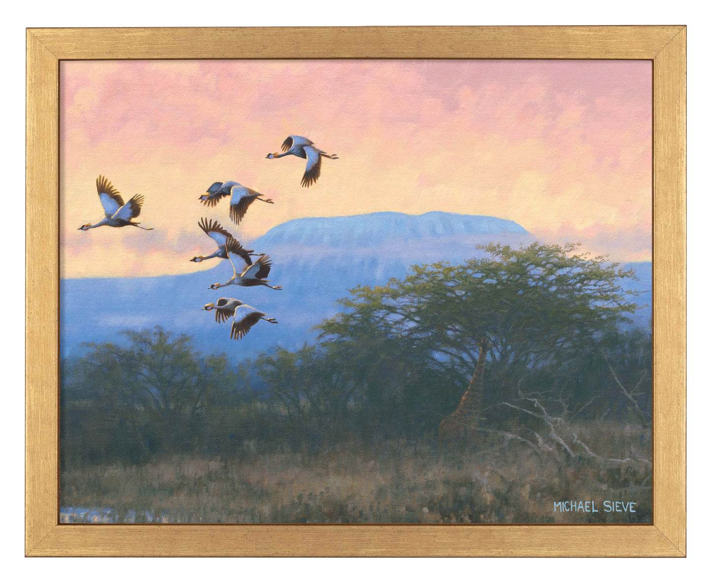 Crowned Cranes - Art Prints