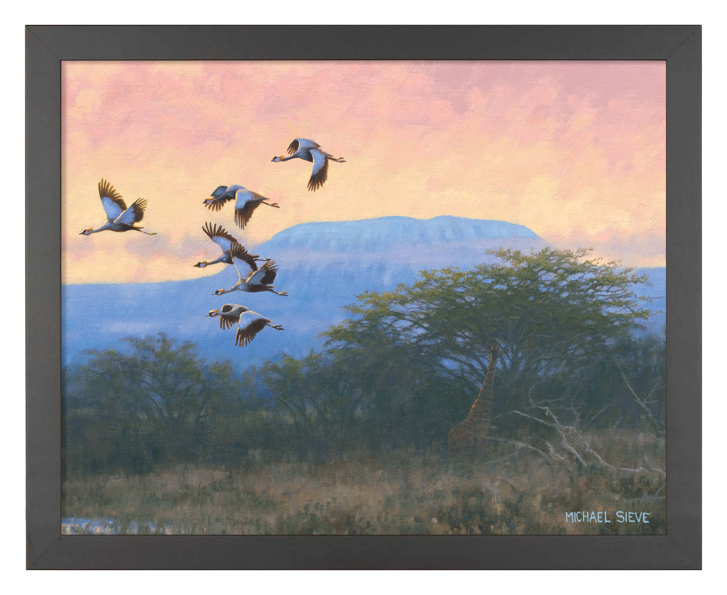 Crowned Cranes - Art Prints