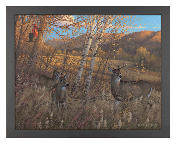 Zone 3 Youth Season Deer - Art Prints