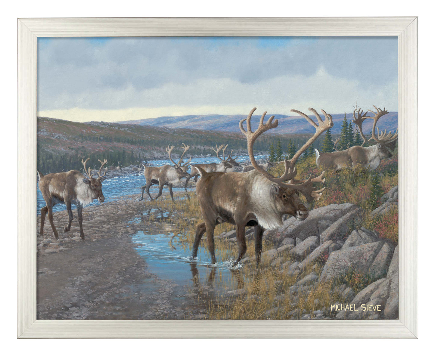 Velvet Crossing - Caribou - Art Prints