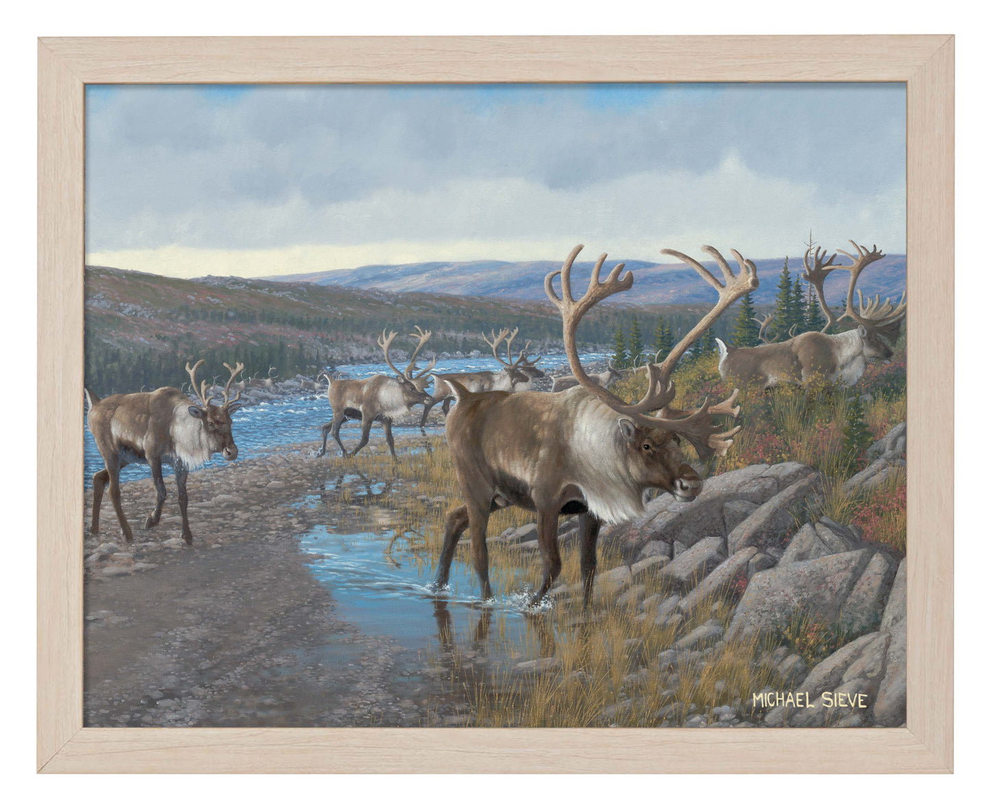 Velvet Crossing - Caribou - Art Prints