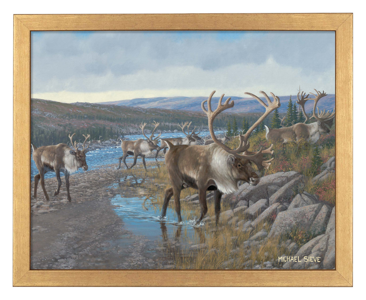 Velvet Crossing - Caribou - Art Prints