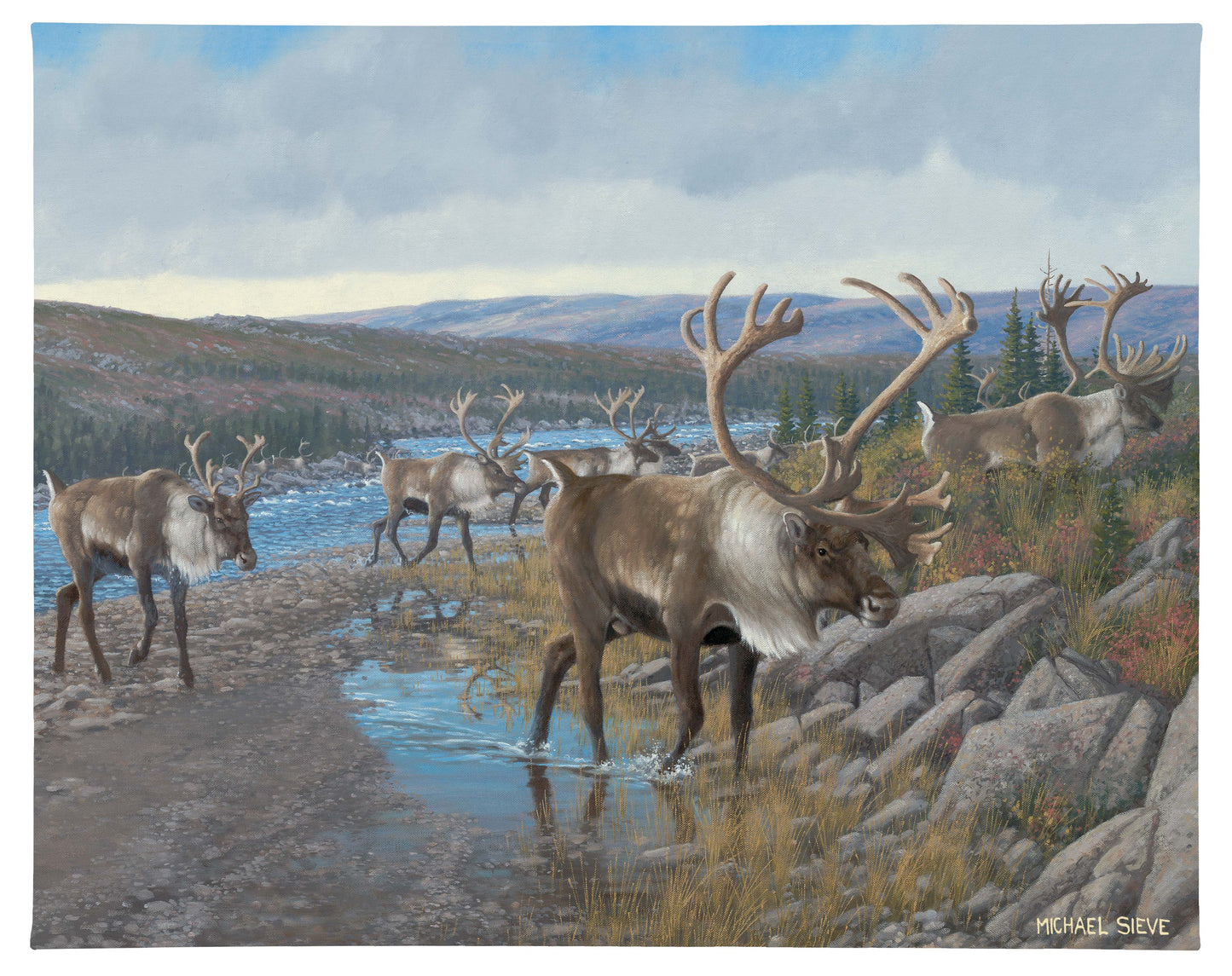 Velvet Crossing - 19" x 24" Gallery Wrapped Canvas