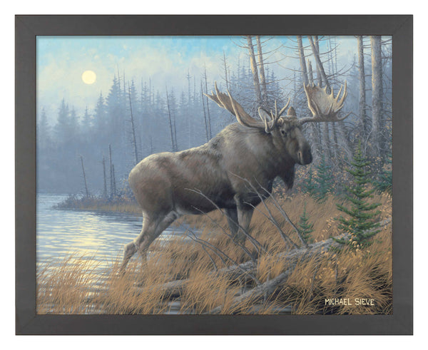 Out of the Mist Moose - Art Prints