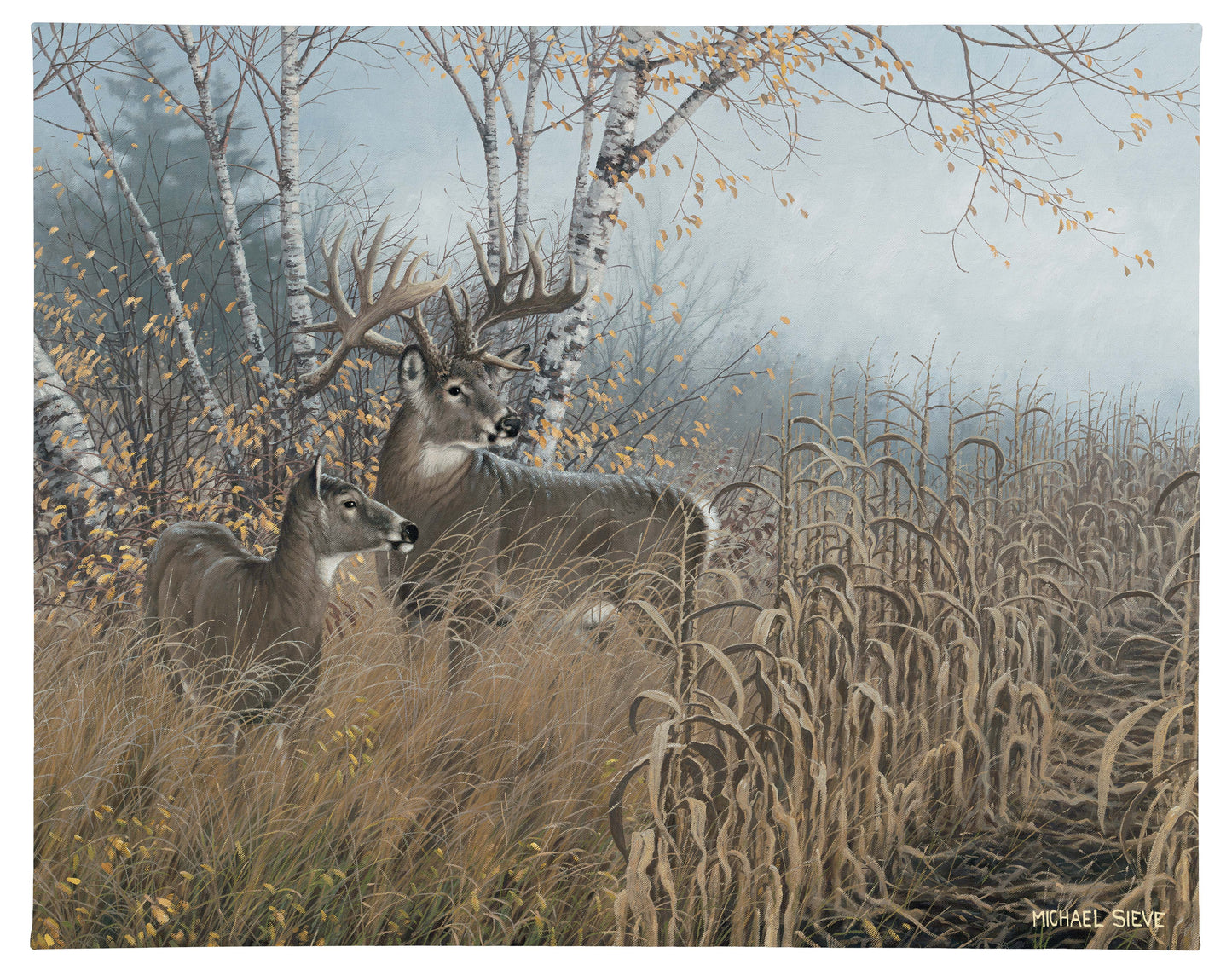 One for the Records - Deer - 19" x 24" Gallery Wrapped Canvas