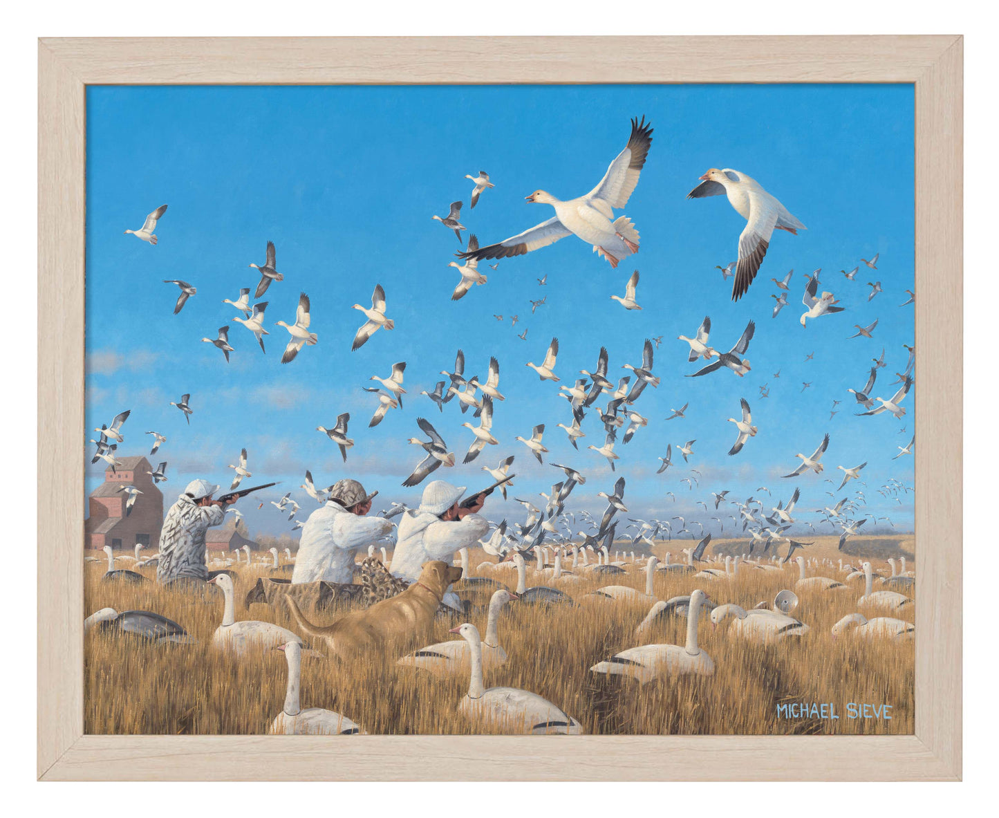 Springtime Snows - Snow Goose Hunters - Art Prints