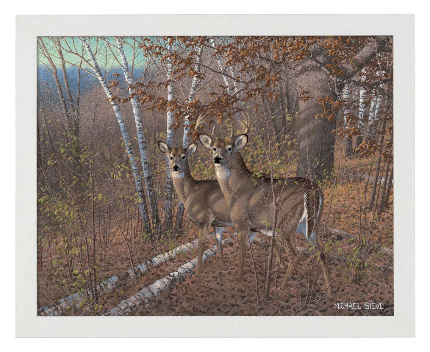 Acute Pair Whitetail Deer - Art Prints