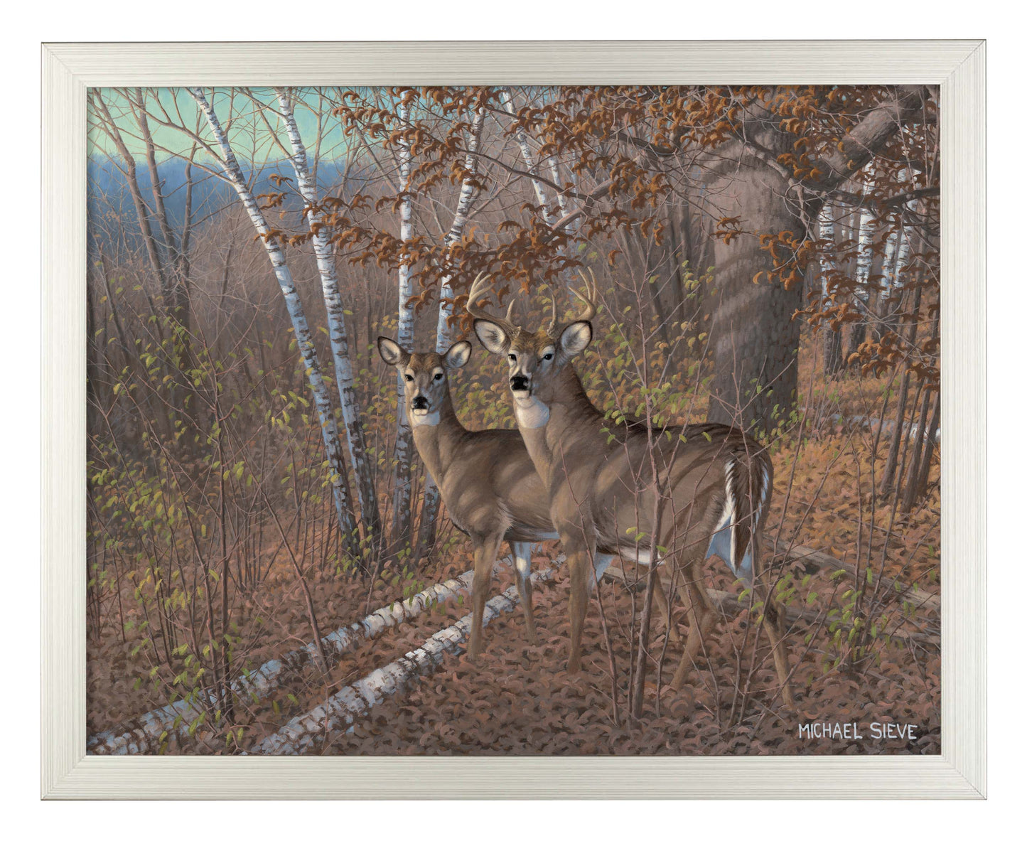 Acute Pair Whitetail Deer - Art Prints