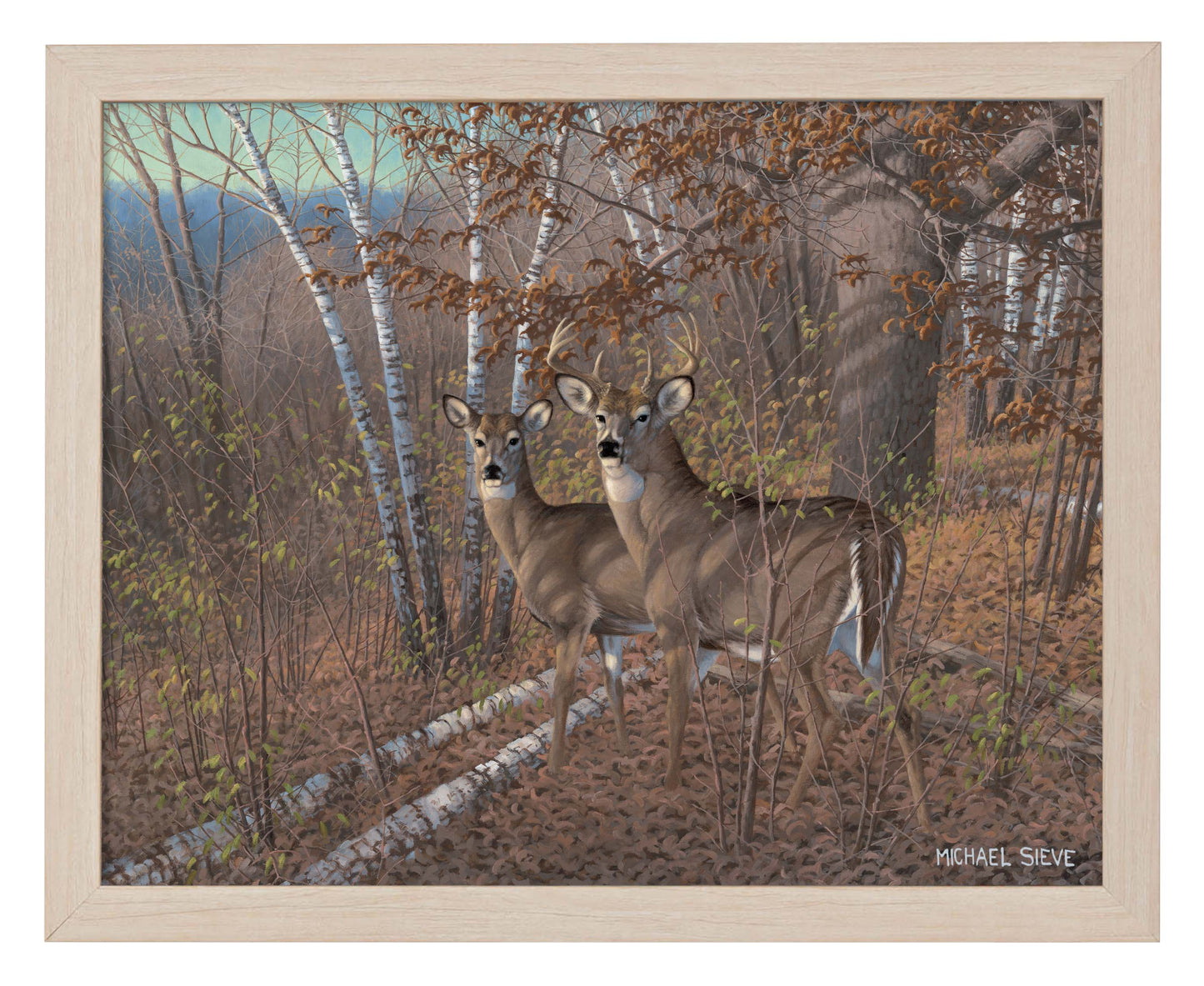 Acute Pair Whitetail Deer - Art Prints