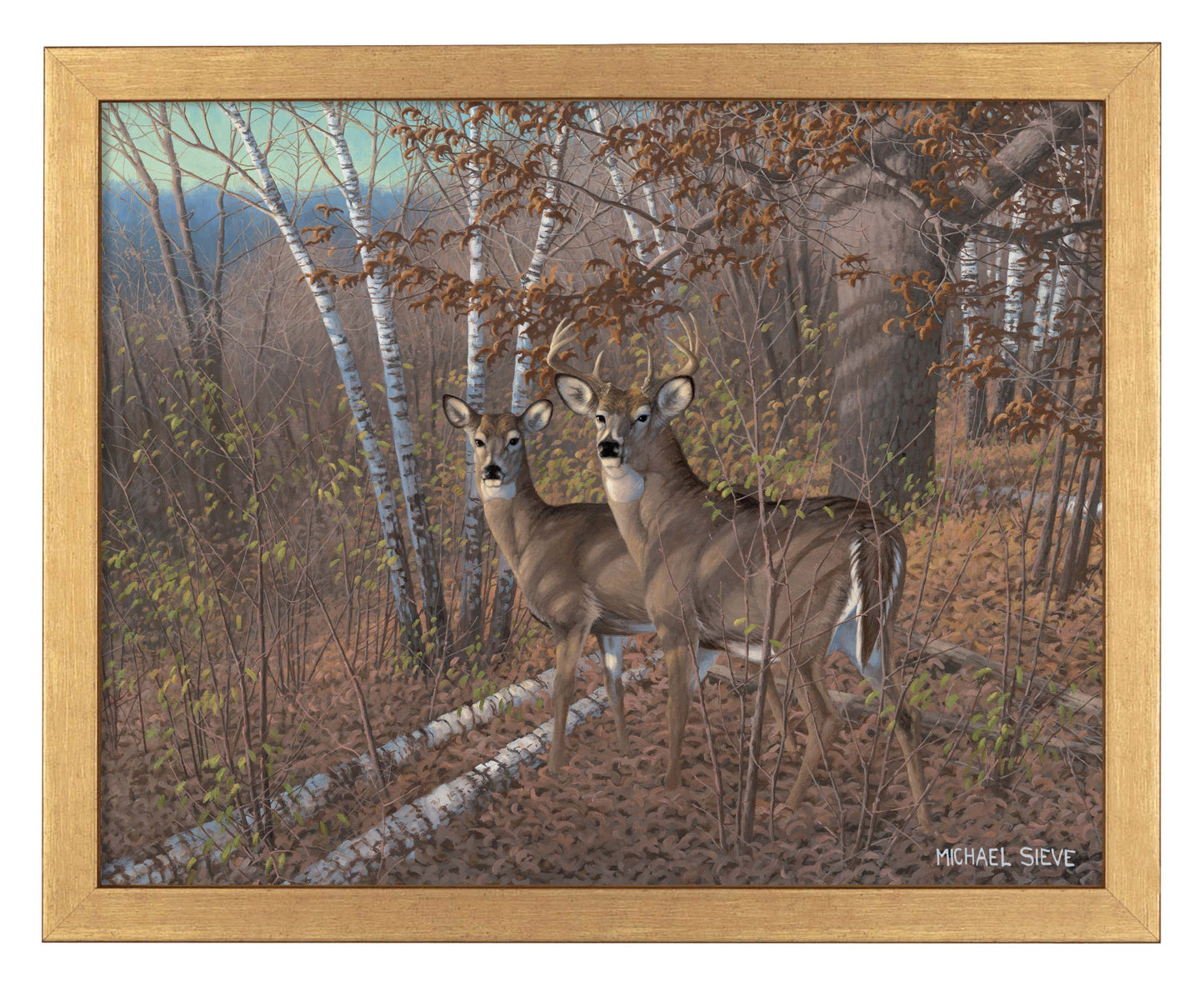 Acute Pair Whitetail Deer - Art Prints