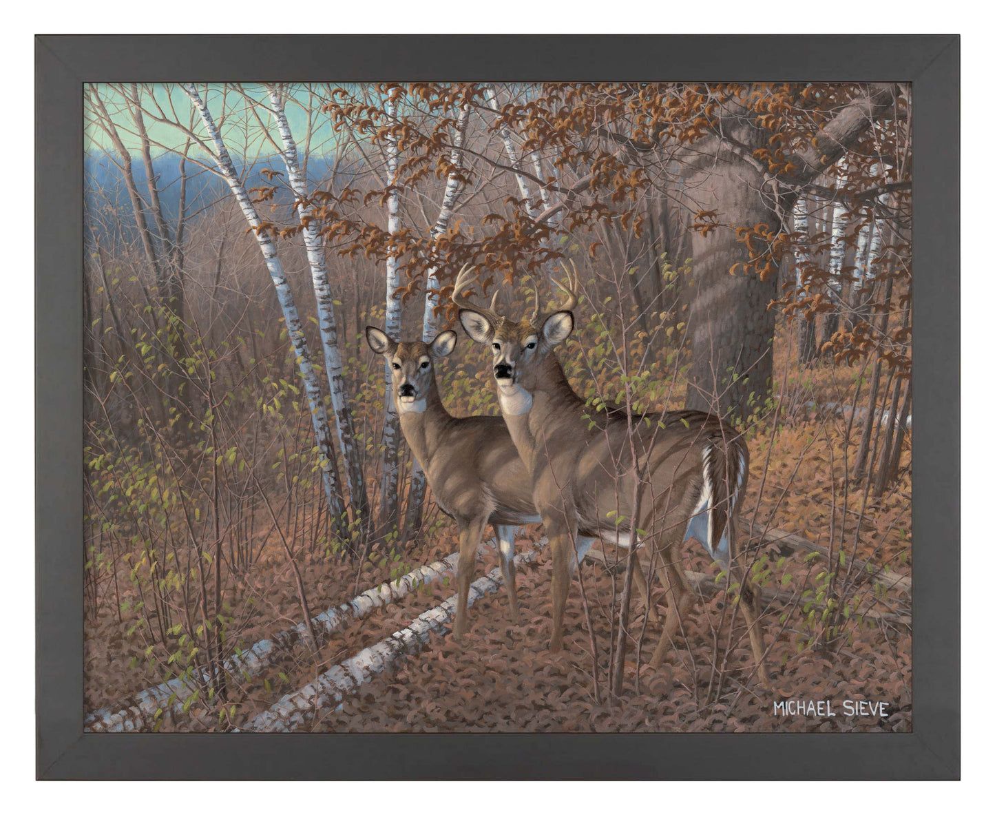 Acute Pair Whitetail Deer - Art Prints