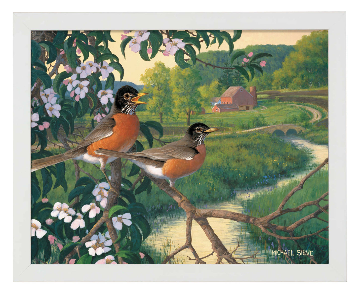 Apple Blossom Time Robins - Art Prints