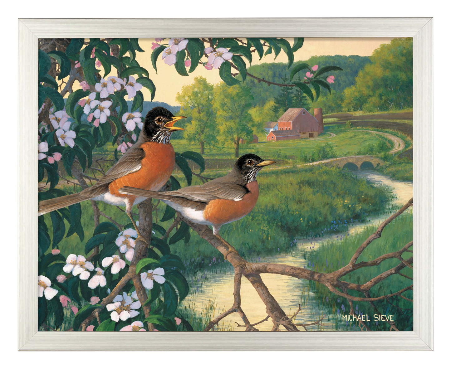 Apple Blossom Time Robins - Art Prints