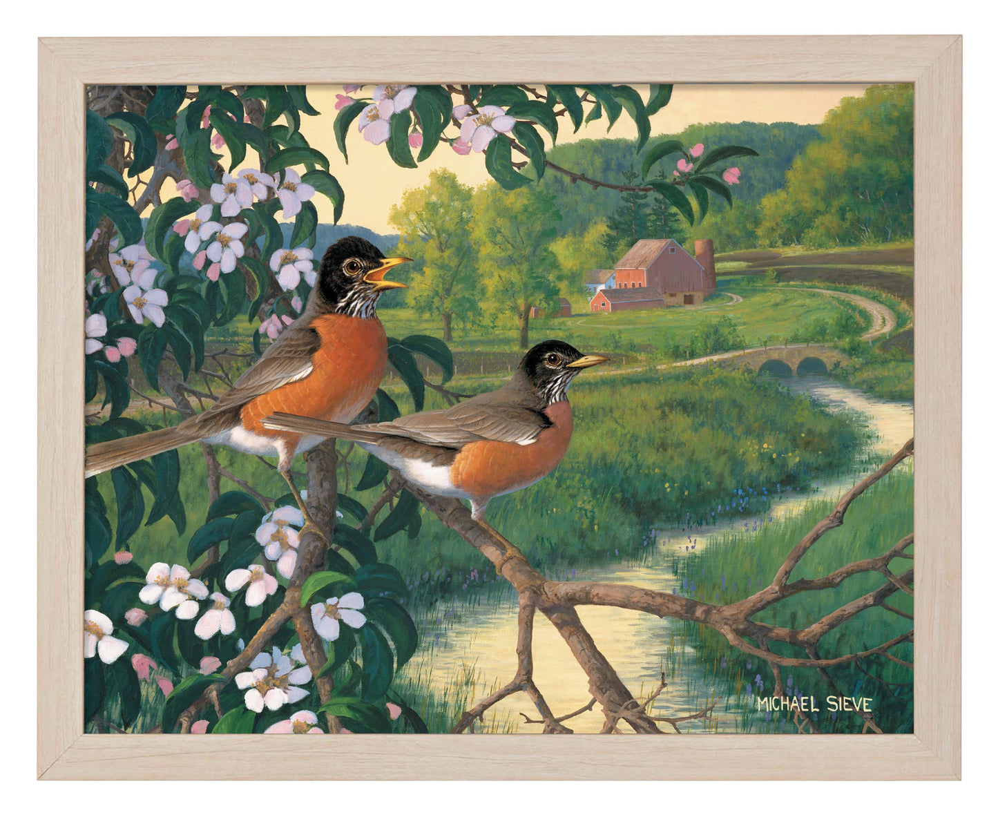 Apple Blossom Time Robins - Art Prints