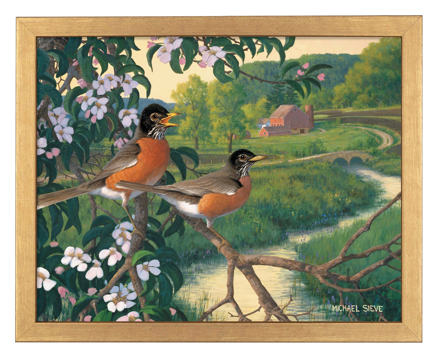 Apple Blossom Time Robins - Art Prints