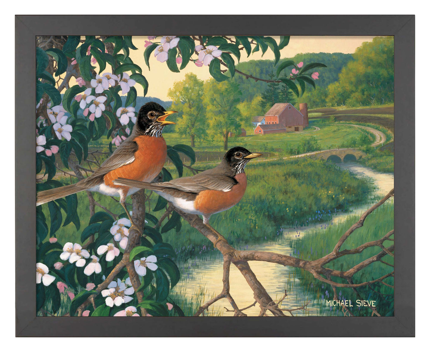 Apple Blossom Time Robins - Art Prints