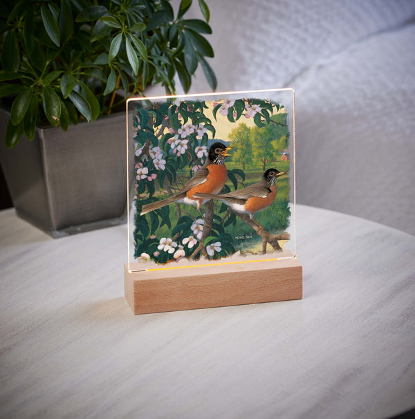 Apple Blossom Time - Robins - Acrylic Night Light
