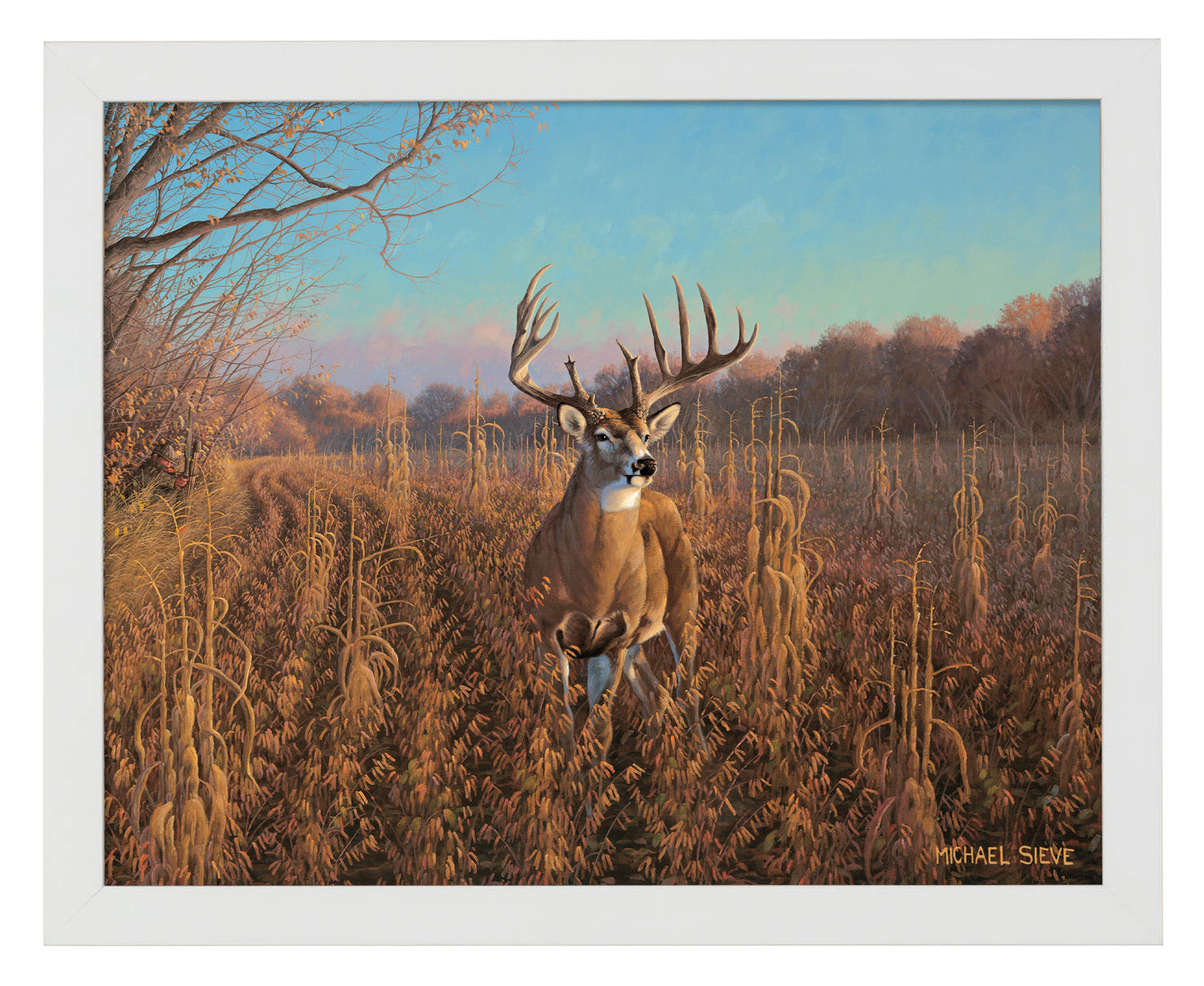 Beanfield Buck Whitetail Deer - Art Prints