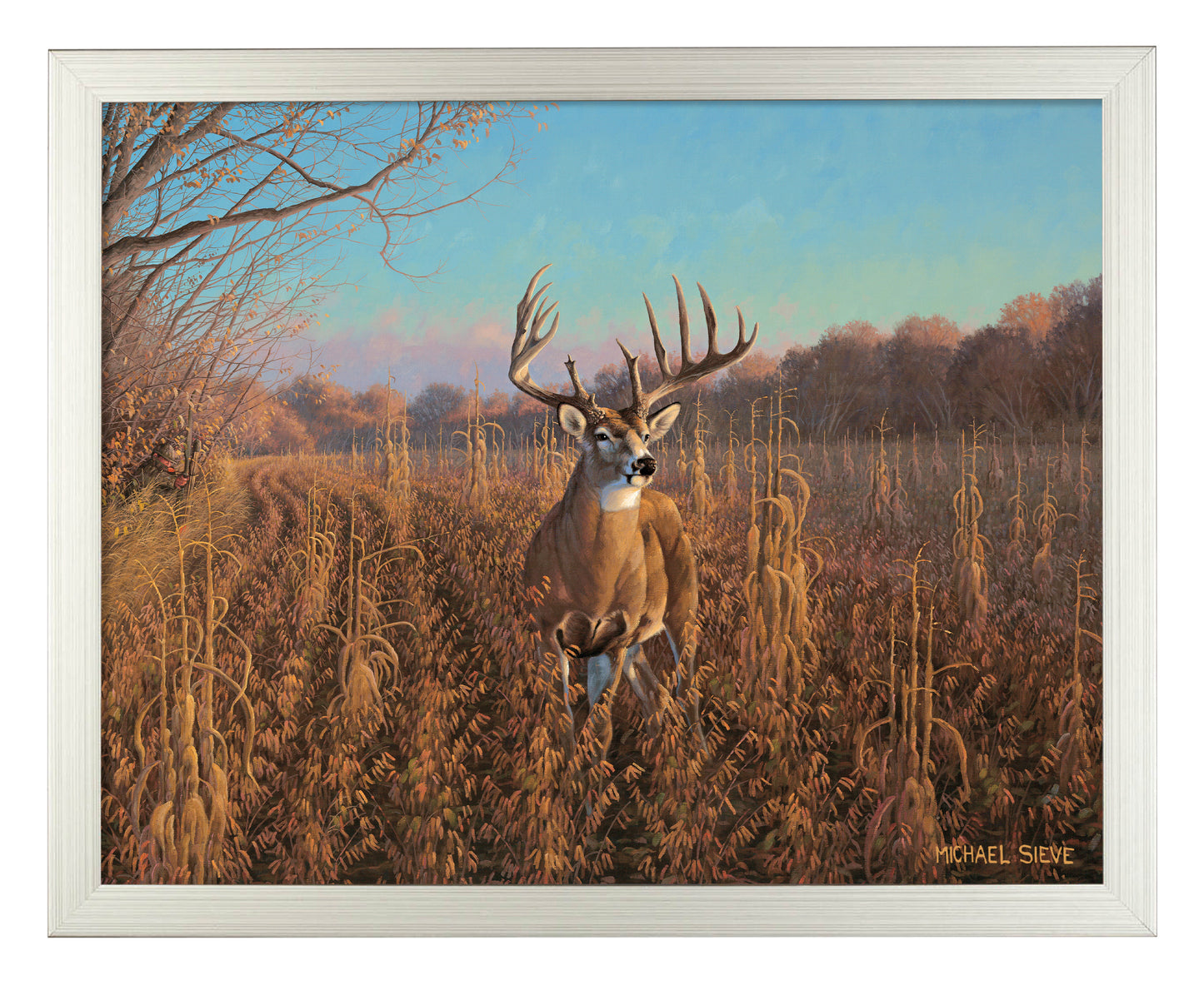 Beanfield Buck Whitetail Deer - Art Prints