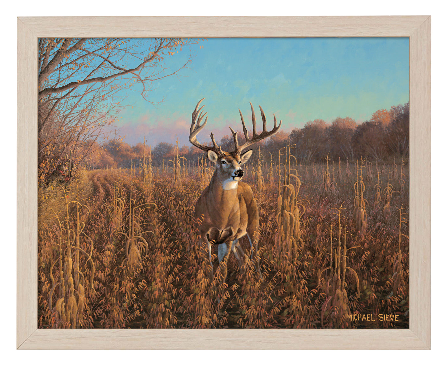 Beanfield Buck Whitetail Deer - Art Prints