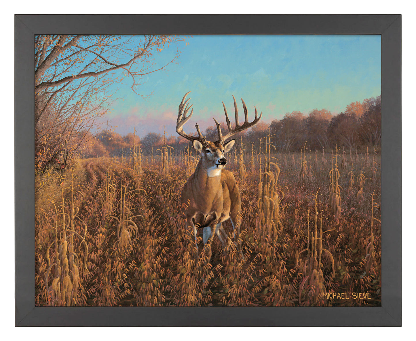 Beanfield Buck Whitetail Deer - Art Prints