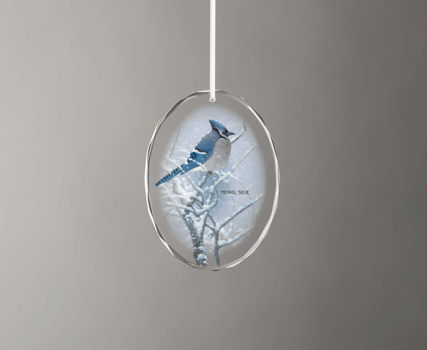 Blue Jay Study - Oval Glass Ornament