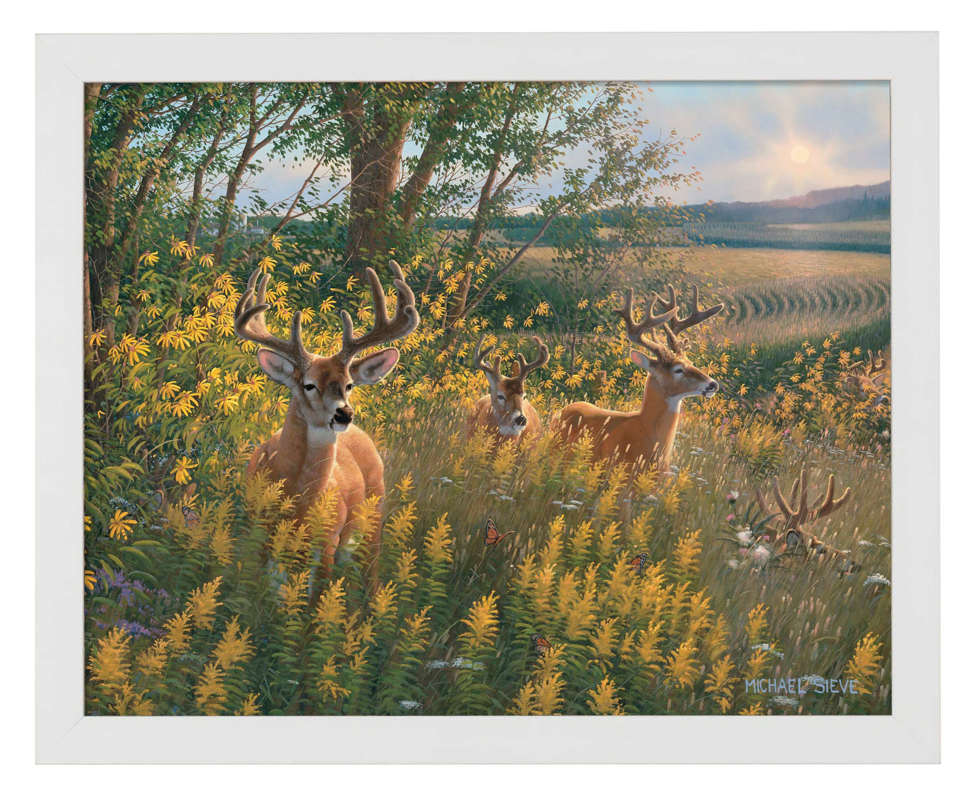 Boys of Summer Whitetail Deer - Art Prints Art Prints from Wild Wings