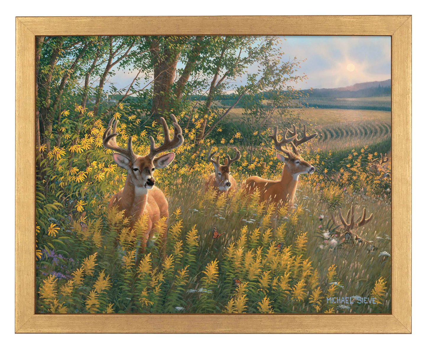 Boys of Summer Whitetail Deer - Art Prints